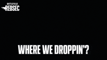 Drop In Battle Royale GIF by Battlefield
