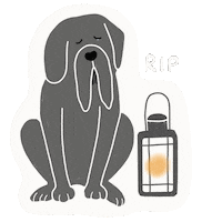 Sad Harry Potter Sticker