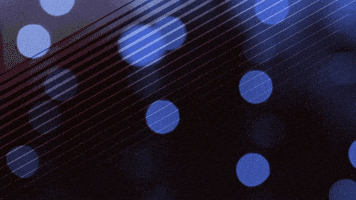 fabricgif happy celebrate birthday happy birthday GIF