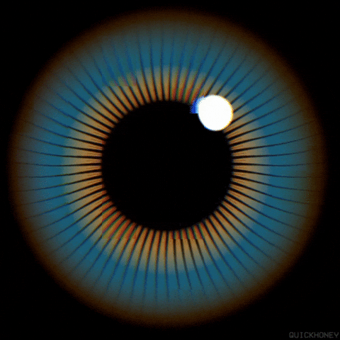 Good Morning Eye GIF by PEEKASSO