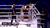 GIF by GLORY Kickboxing