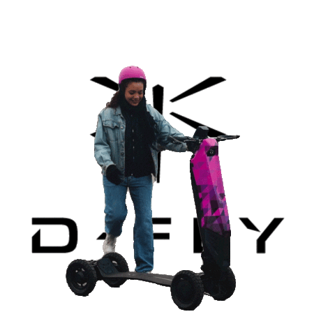 Dflysportscooter Sticker by D-Fly