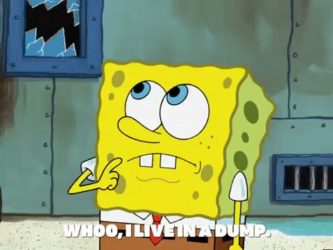 season 5 GIF by SpongeBob SquarePants