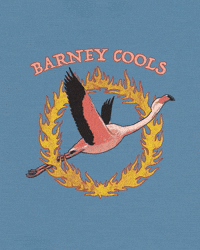 Barney Cools Flaming Flamingo