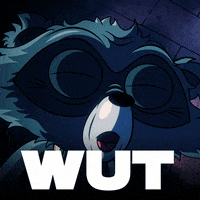 Raccoon What GIF by Sugartown