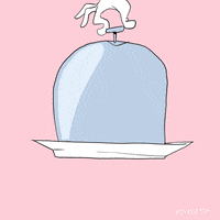 Fox Face GIF by Animation Domination High-Def