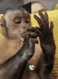 Cafe Venir GIF by Murcianys LLC