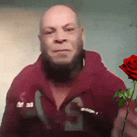 Rose Love GIF