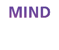 flying schiphol international airport Sticker by Amsterdam Airport Schiphol