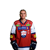 Icehockey Sticker by Lillehammer Ishockeyklubb