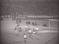 GIF by SE Palmeiras