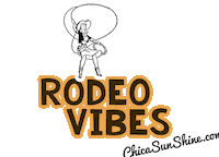 Vibes Horse Sticker by ChicaSunshineShop