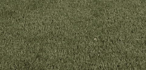Womens Lacrosse GIF by Lafayette Leopards
