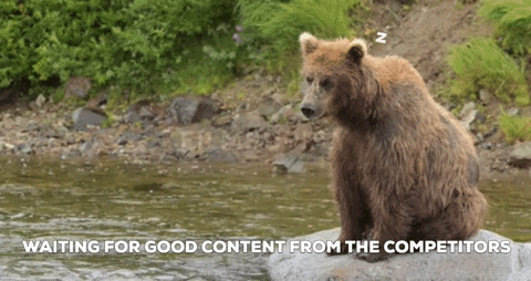 contentbaer giphygifmaker giphyattribution tired bear GIF