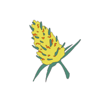 Flower Smoke Sticker by Wildlife Cannabis