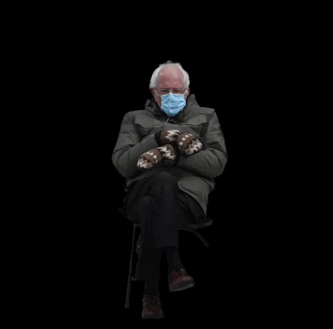 Bernie Sanders GIF by DAM