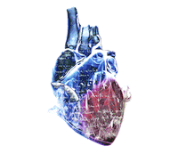 walk the moon home Sticker by morgxn