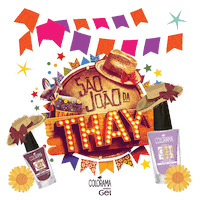 festa junina so joo Sticker by L'Oréal Brasil