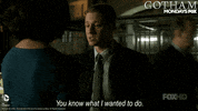 gotham GIF by Fox TV