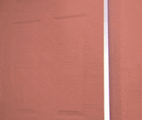 Nba 2K League 2K20 GIF by Raptors Uprising GC