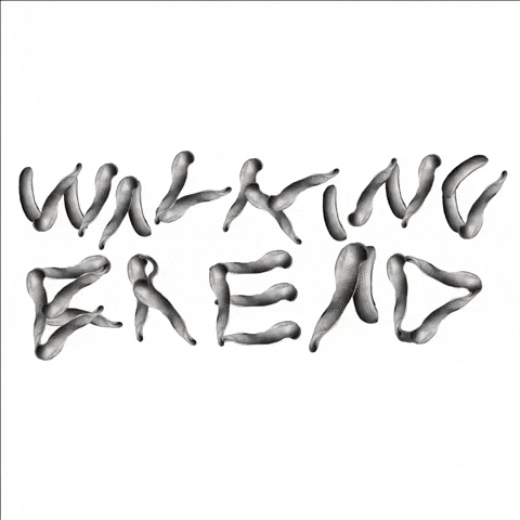 Walking Bread GIF by Alex Boya