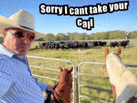 Horse GIF by CODE 10-28