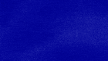 In Charge Wtf GIF by Jeopardy!