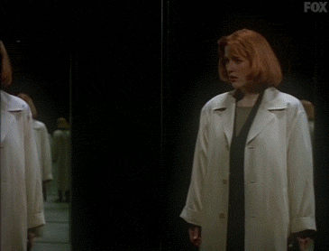 x files GIF by The X-Files