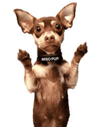Dog Pupsize Sticker by MISO PUP