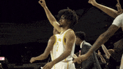Basketball Wisconsin GIF by Milwaukee Panthers