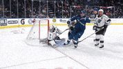Celebration Hockey GIF by Colorado Eagles