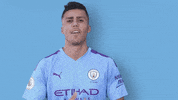 Man City Sport GIF by Manchester City