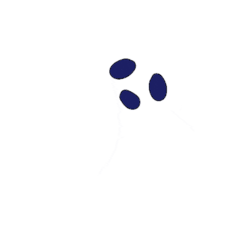 solhirs giphyupload spooky boo sh Sticker