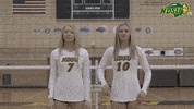 Volleyball Bison GIF by NDSU Athletics