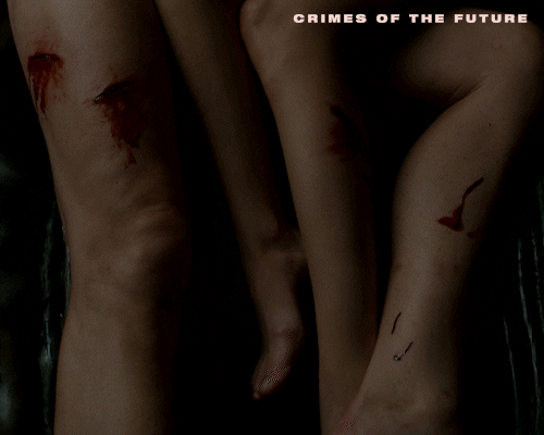 David Cronenberg Body Horror GIF by Madman Films