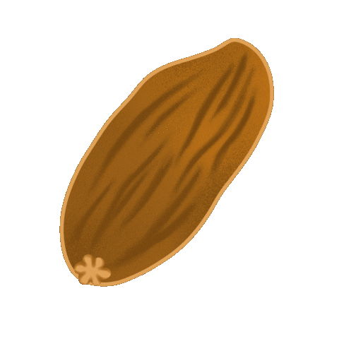 Date Islam Sticker