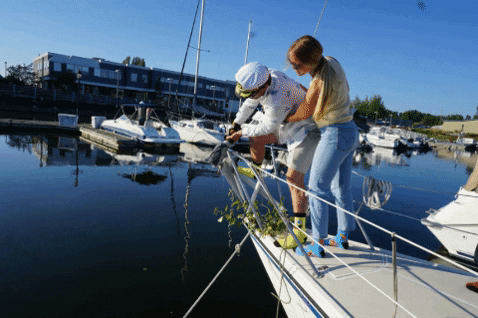 brianzig2023 giphygifmaker GIF