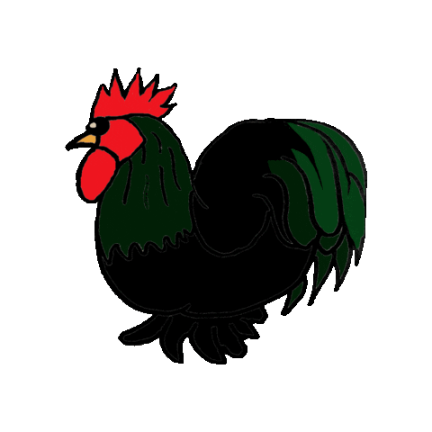 Rooster Hahn Sticker