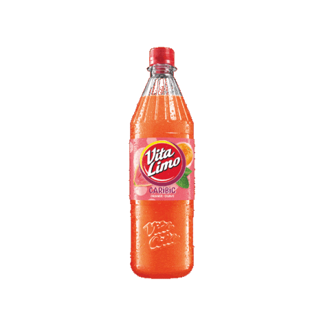 Sommer Limo Sticker by Vita Cola