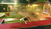 Happy Dance GIF by Big Brother Australia