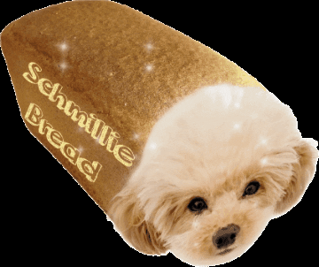schmilliepoo giphygifmaker giphygifmakermobile schmilliepoo schmillie GIF