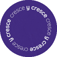 duoduostudio duo duostudio cresceycresce Sticker