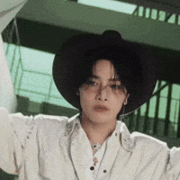 Stray Kids Skz GIF
