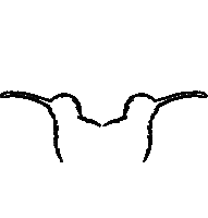 Cerveza Artesanal Empordã  Sticker by DKB