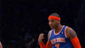 New York Knicks Basketball GIF by NBA