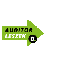 Auditorleszek Sticker by DeloitteHungary