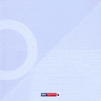 Football Soccer GIF by skysports