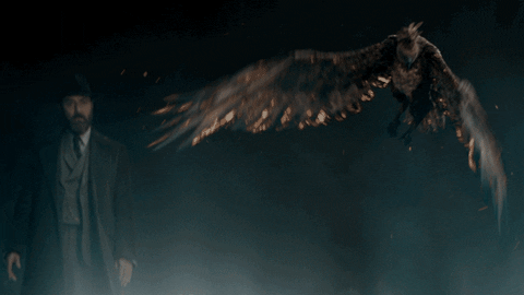 Flying Harry Potter GIF by Warner Bros. Deutschland