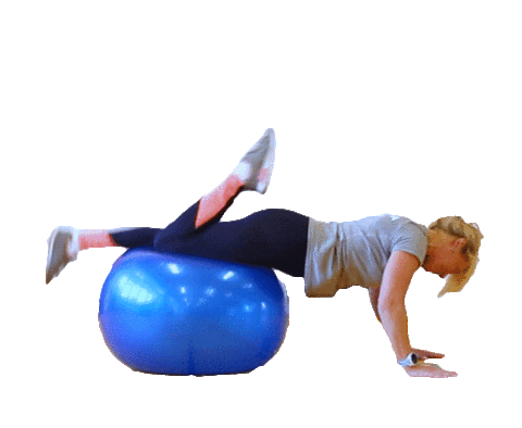 ASFITNESSCZ giphyupload fitness gym exercise Sticker