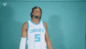 Hive Mentality Mark Williams GIF by Charlotte Hornets